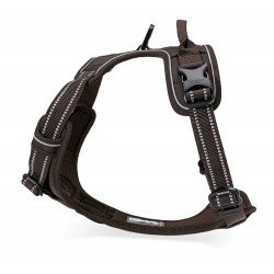 Truelove Country harness