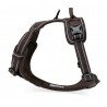 Truelove Country harness