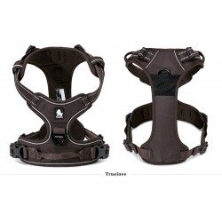 Truelove Country harness