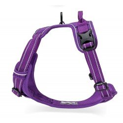 Truelove Country harness