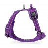 Truelove Country harness