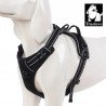 Truelove Country harness