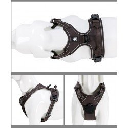 Truelove Country harness