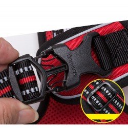 Truelove Country harness