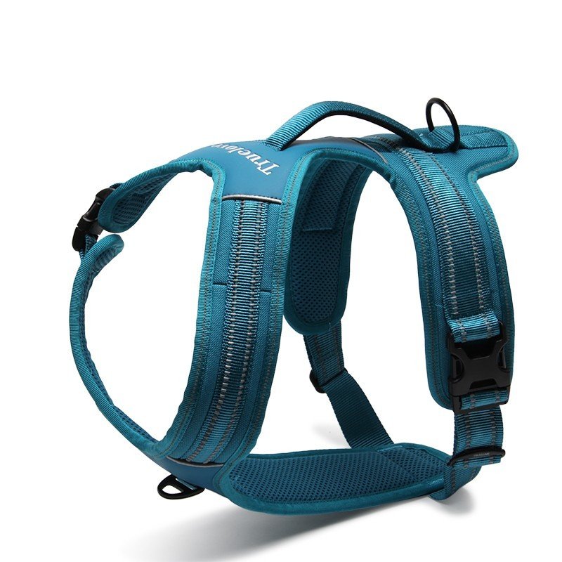 Truelove Forest harness