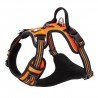 Truelove Country + arnes - TLH56512