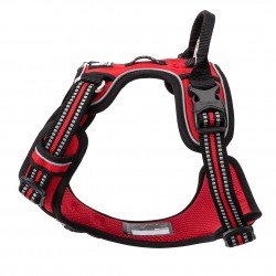 Truelove Country + harness