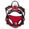 Truelove Country + harness