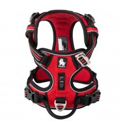 Truelove Country + harness