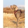 Truelove Country + arnes - TLH56512