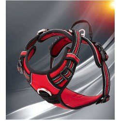 Truelove Country + arnes - TLH56512