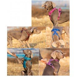 Truelove Country + arnes - TLH56512