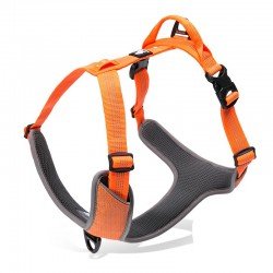 Truelove Mountain harness