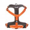 Truelove Mountain harness