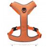 Truelove Mountain harness