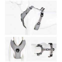 Truelove Mountain harness