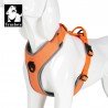 Truelove Mountain harness