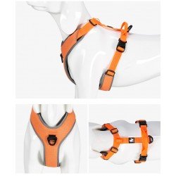 Truelove Mountain harness