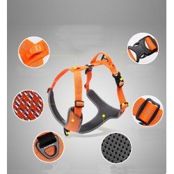 Truelove Mountain harness