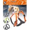 Truelove Mountain harness