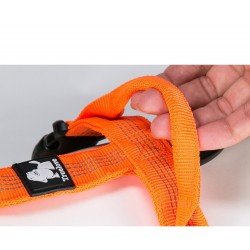 Truelove Mountain harness