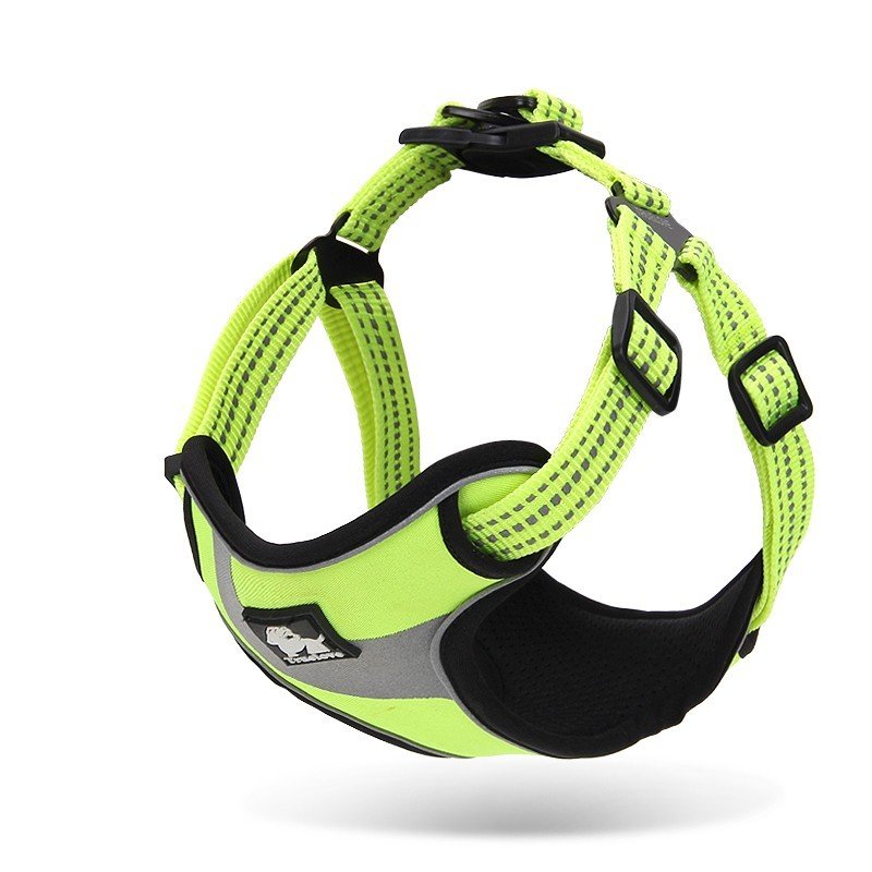 Truelove Training arneses - TLH5991