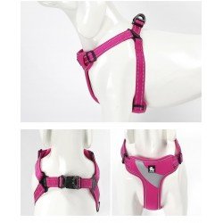 Uprząż treningowa Truelove - TLH5991