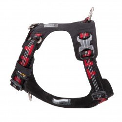 Truelove colorado + Поводок - TLH6282