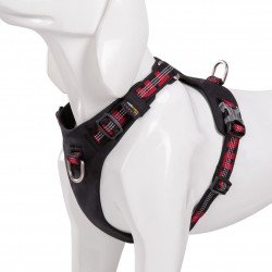 Truelove colorado + harness