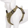 Truelove colorado + Поводок - TLH6282