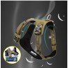Truelove colorado + Поводок - TLH6282