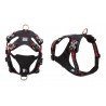 Truelove colorado + harness