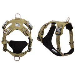 Truelove colorado + Поводок - TLH6282