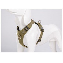 Truelove colorado + Поводок - TLH6282