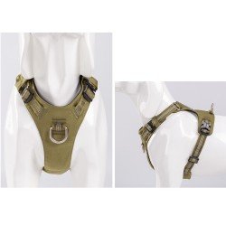 Truelove colorado + harness