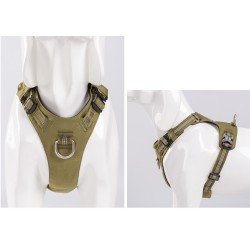 Truelove colorado + Поводок - TLH6282
