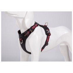 Truelove colorado + harness