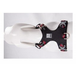 Truelove colorado + Поводок - TLH6282