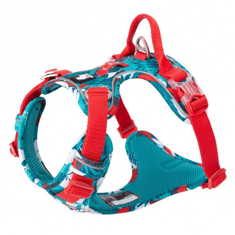 Truelove Country + Limited Edition harness