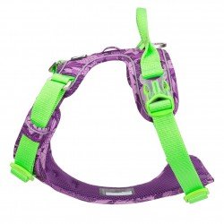 Truelove Country + Limited Edition harness