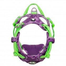 Truelove Country + Limited Edition harness