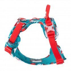 Truelove Country + Limited Edition harness