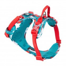 Truelove Country + Limited Edition harness