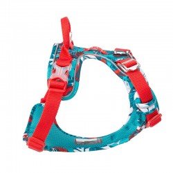 Truelove Country + Limited Edition harness