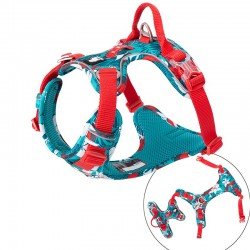 Uprząż Truelove Country + Limited Edition - TLH5653
