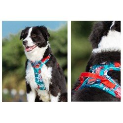 Uprząż Truelove Country + Limited Edition - TLH5653
