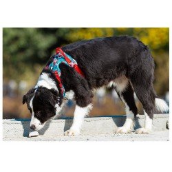 Uprząż Truelove Country + Limited Edition - TLH5653