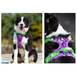 Truelove Country + Limited Edition harness