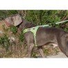Truelove Alaska + arnes - TLH58121