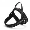 Truelove Alaska harness